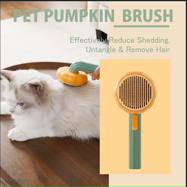 Brosse à citrouille pour animaux de compagnie