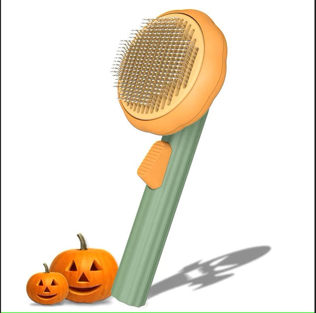 Brosse à citrouille pour animaux de compagnie