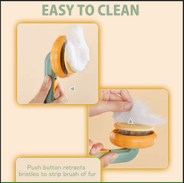 Brosse à citrouille pour animaux de compagnie