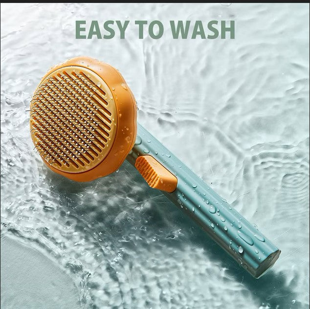 Brosse à citrouille pour animaux de compagnie