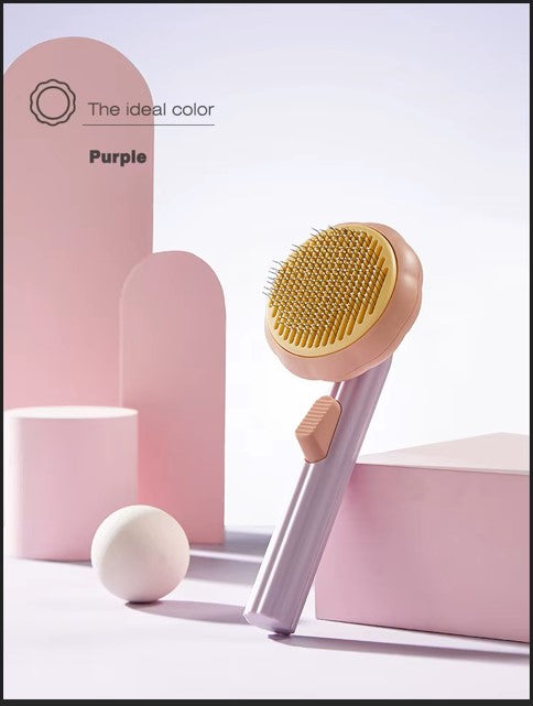 Brosse à citrouille pour animaux de compagnie