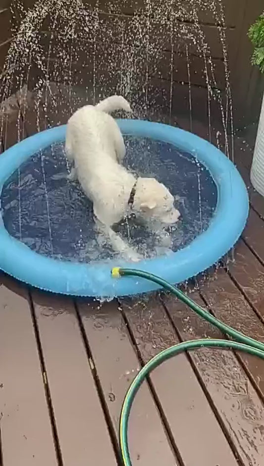 tapis d'arrosage, baignoire pour animaux de compagnie