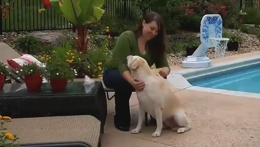 Peigne d'épilation pour chat et chien